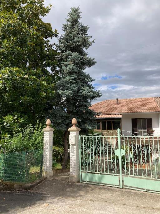 Casa Sisu-Appartamento Immerso Negli Ulivi 圣埃利亚-菲尔梅拉彼得 外观 照片