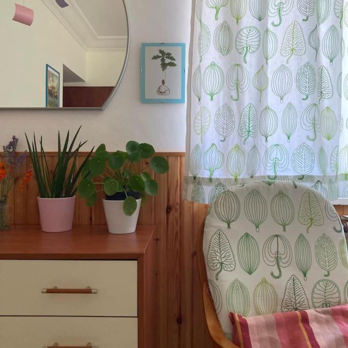 Casa Sisu-Appartamento Immerso Negli Ulivi 圣埃利亚-菲尔梅拉彼得 外观 照片